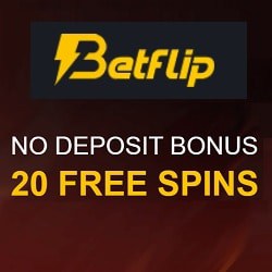 Free Spin Dice Free Spin Dice