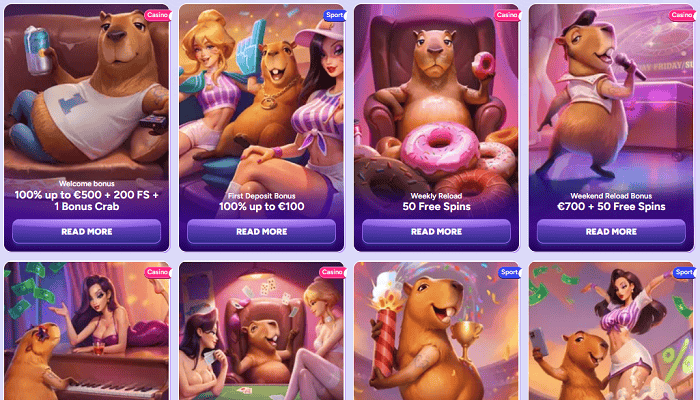 Spinbara Free Spins, Bonus Codes, Promotions 