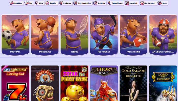 Spinbara Sportsbook, E-sports, Live Betting 
